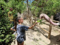 /album/fotogaleria-zanzibar-zajazd-vy-a-my/zanzibar-dovolenka-zajazd-51-jpg/